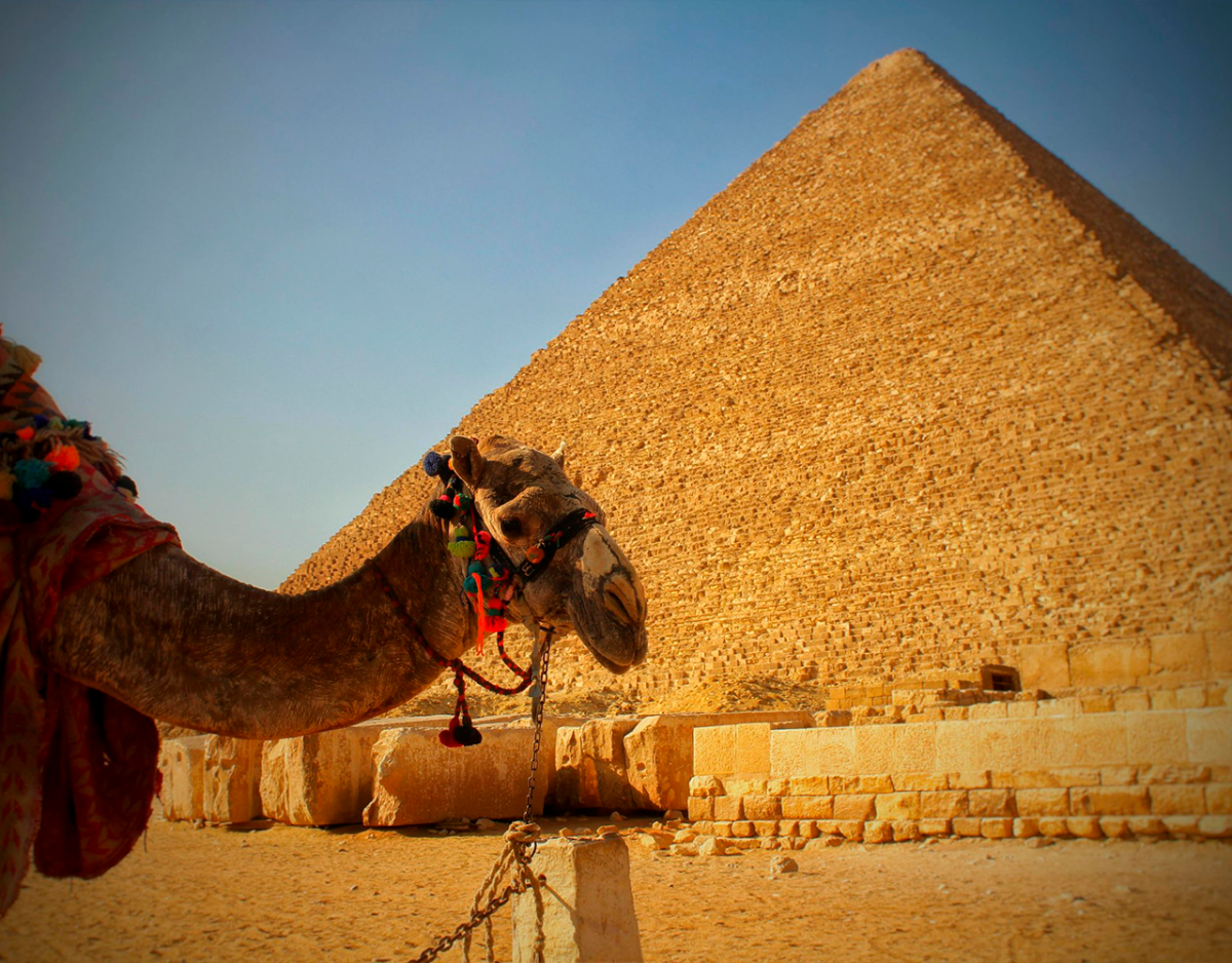 Viajes a Egipto